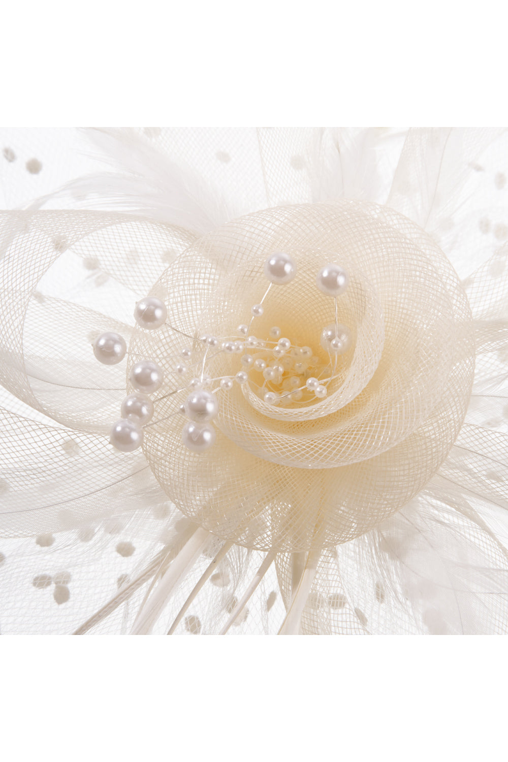 Dual - use Headband & Barrette with Netting, Flower and Feather Designs