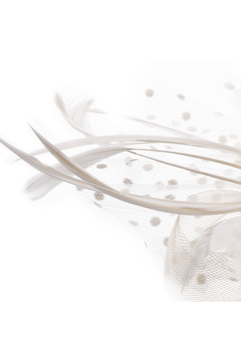 Dual - use Headband & Barrette with Netting, Flower and Feather Designs