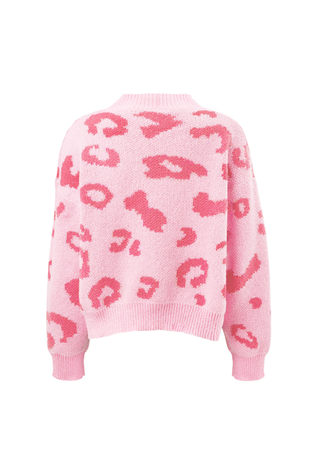 Leopard Print High Neck Jumper